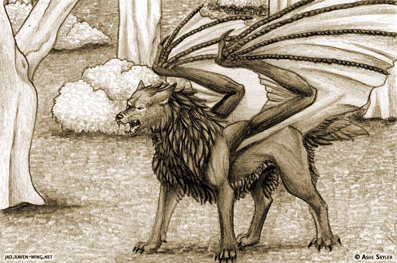 #449: Kurach Origins